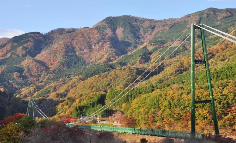 写真：もみじ谷大吊り橋の全体像