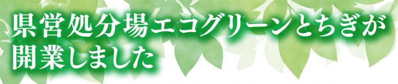 県営処分場エコグリーンとちぎが開業しました