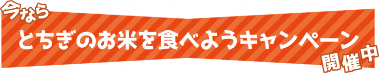 今ならとちぎのお米を食べようキャンペーン開催中