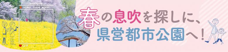 春の息吹を探しに県営都市公園へ