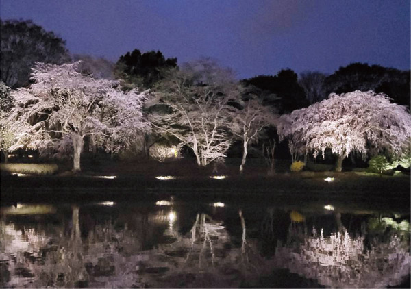 中央公園写真