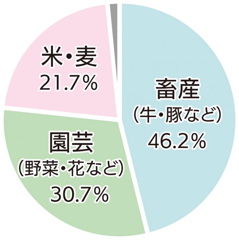 畜産46.2%、園芸30.7%、米・麦21.7%