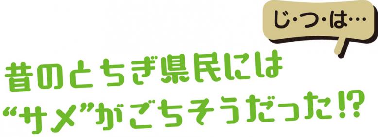 じ・つ・は…昔のとちぎ県民には“サメ”がごちそうだった!?
