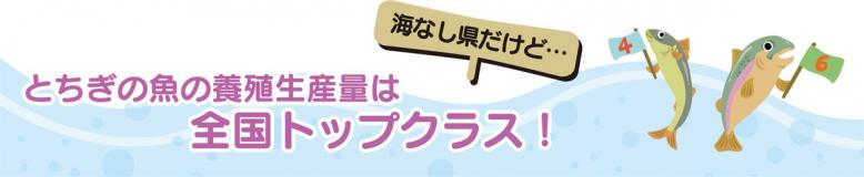 海なし県だけど…とちぎの魚の養殖生産量は全国トップクラス！