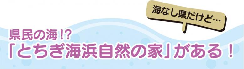海なし県だけど…県民の海!?「とちぎ海浜自然の家」がある！
