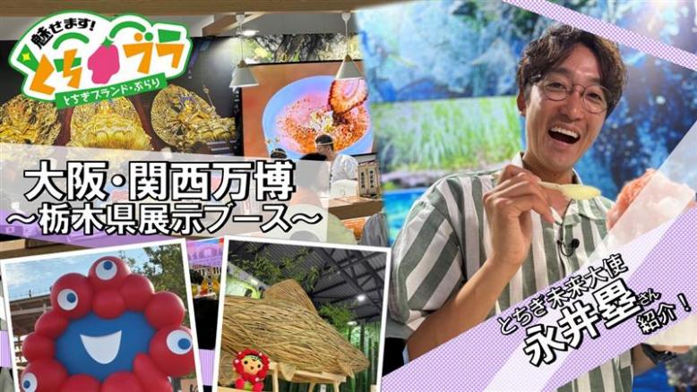 とちブラYouTubeサムネ「大阪・関西万博」