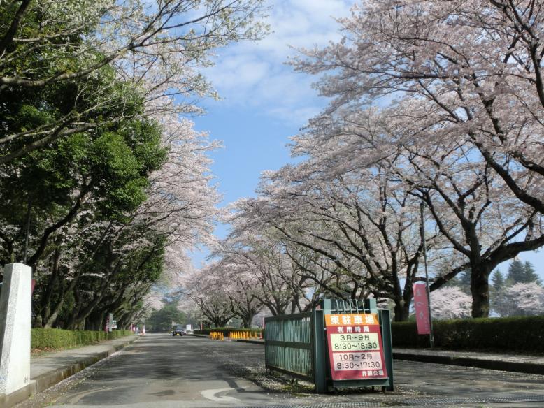 井頭公園・一万人プール様3