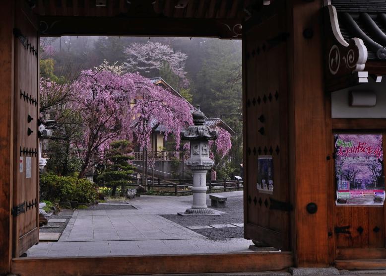 大平山様12