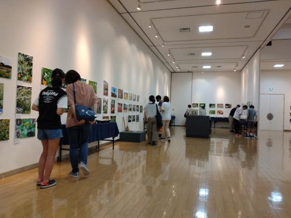 2023年の展覧会風景