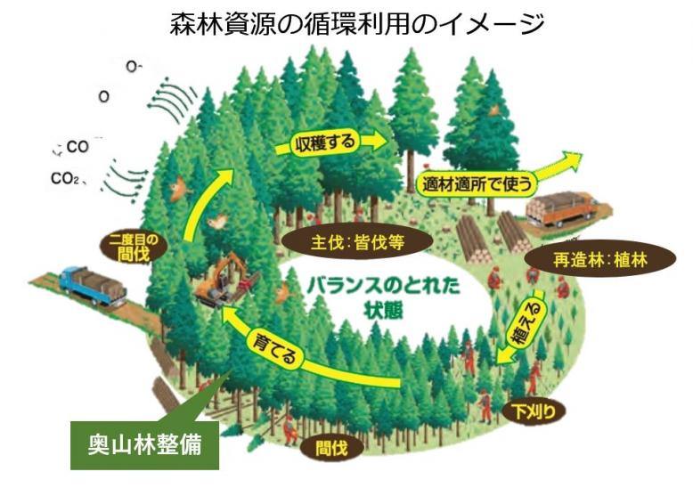 森林資源循環利用のイメージ