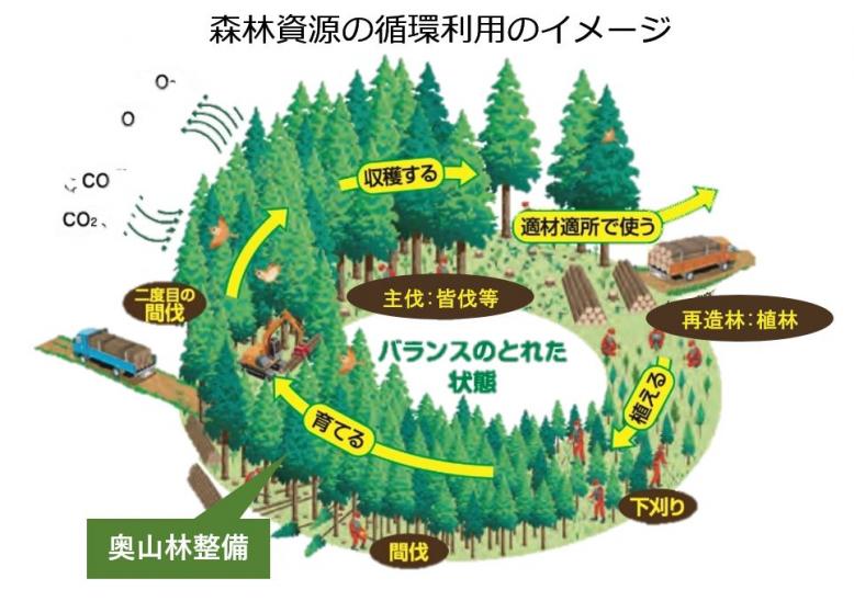 森林資源循環利用のイメージ