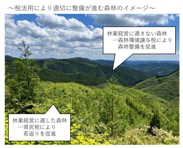 森林環境譲与税活用の効果