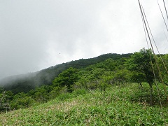 東高原自然環境保全地域