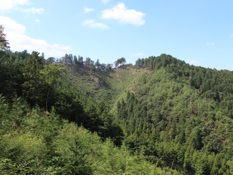 焼森山