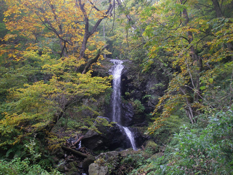 湯西川自然環境保全地域