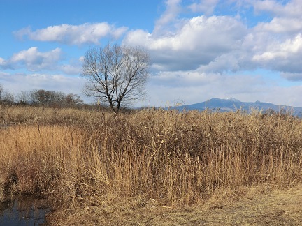 鬼怒川中流域自然環境保全地域