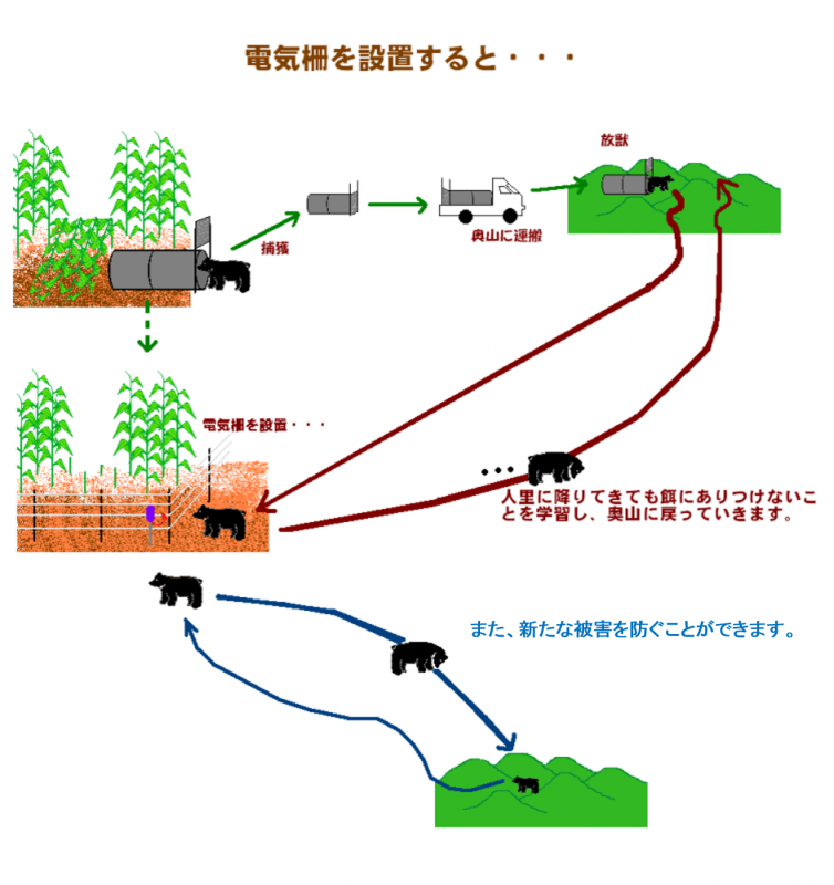 電気柵を設置すると