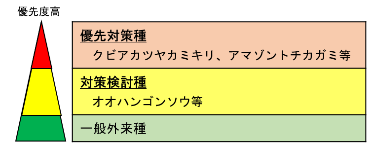 定着外来種の区分