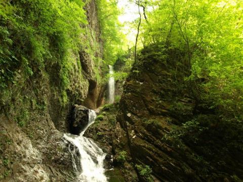 竜化の滝