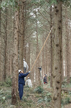 FP活動 根本山1