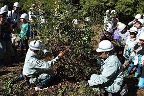 とうぶの森第4回活動写真1