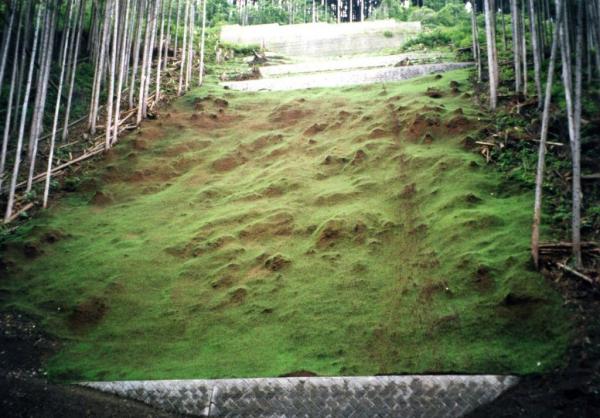 植生基材吹付け工の写真