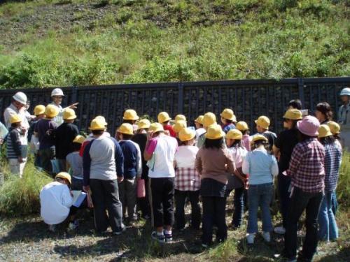 環境学習の活動写真