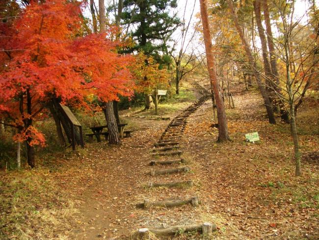 益子の森散策路