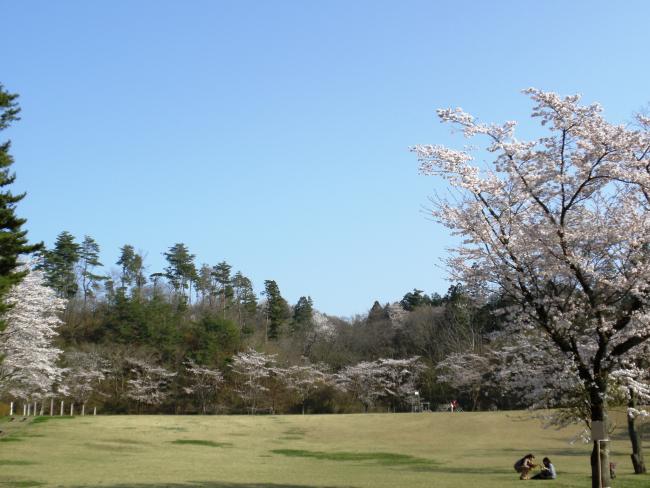 益子の森芝生広場2