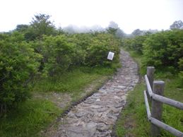 石張り舗装の歩道