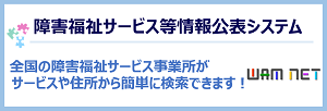 sfk300_100_a.png