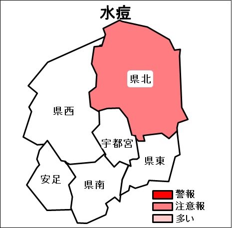 ryukou3
