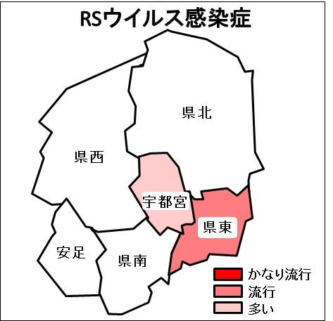 ryukou5