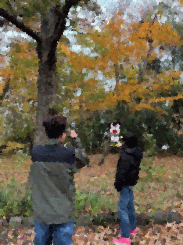 活動の様子1