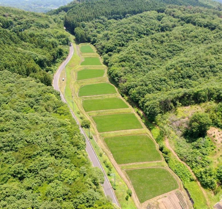 小砂の棚田