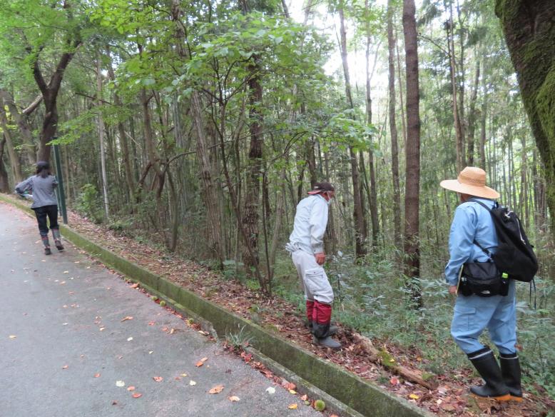 現場点検