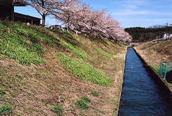 nasusosuiasshuku