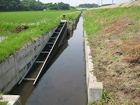 水田魚道工