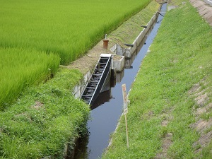 水田魚道