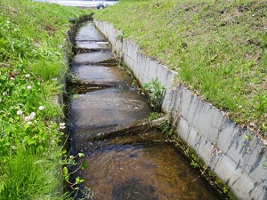 水路魚道