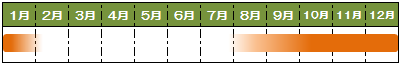 旬カレンダーさといも