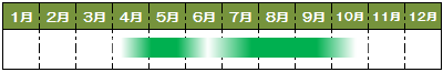 旬カレンダーアスバラガス