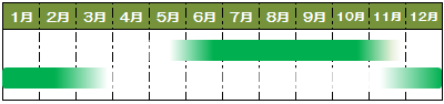旬カレンダー青菜類