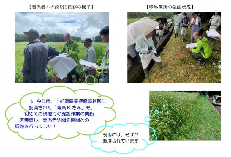 全体画像