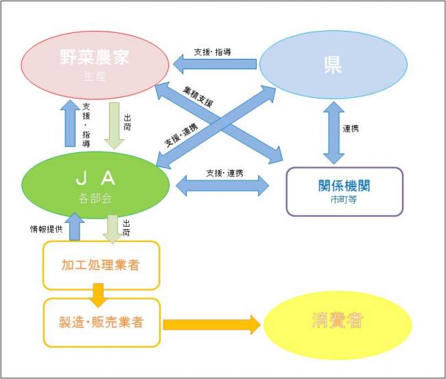 プロジェクト3推進体制と役割分担の図