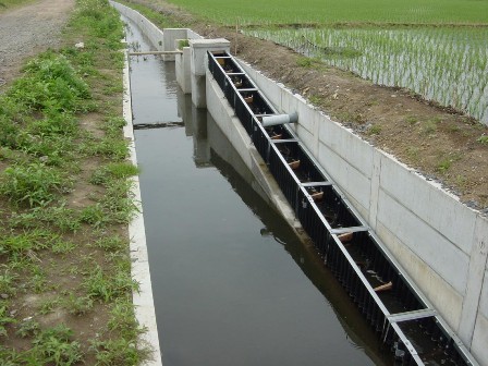 環境に配慮した水田魚道