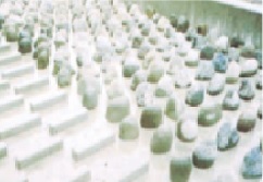 hagadai02-2