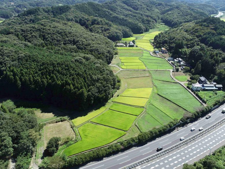 小野口地区の写真