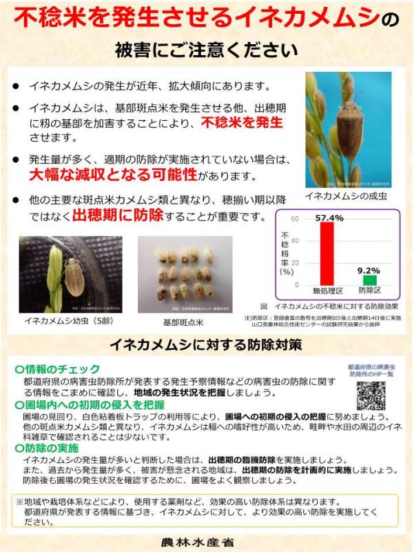 イネカメムシパンフレット1
