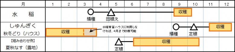 r1しゅんぎく4